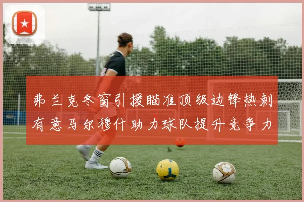 弗兰克冬窗引援瞄准顶级边锋热刺有意马尔穆什助力球队提升竞争力