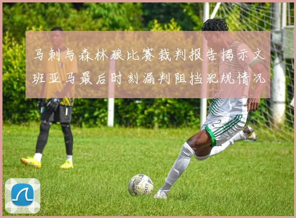马刺与森林狼比赛裁判报告揭示文班亚马最后时刻漏判阻挡犯规情况