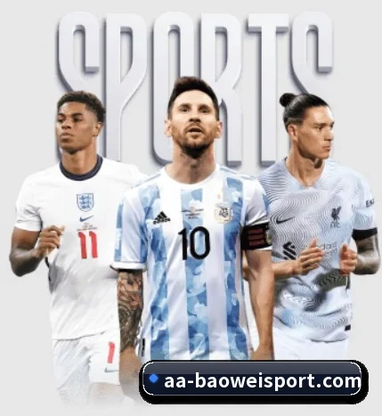 宝威体育 APP - BOWWAYSPORTS