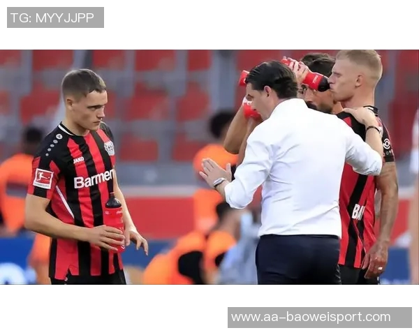 灵魂画手挑战赛维尔茨与弗林蓬联手画出神秘队友是谁呢